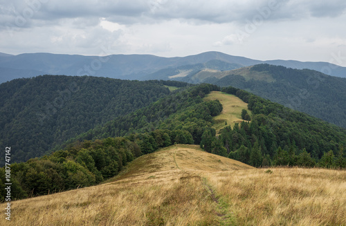 Ukrainian mountains Carpathians in autumn