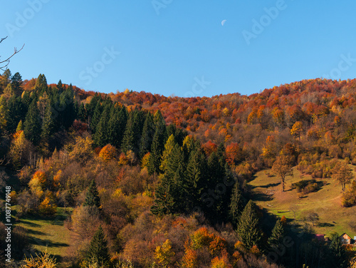 Village Transcarpathia region scenic Sunny Carpathian mountains view Ukraine, Europe. Autumn countryside rural landscape. Fall spruce pine trees lush foliage Eco Local tourism hiking Recreational area