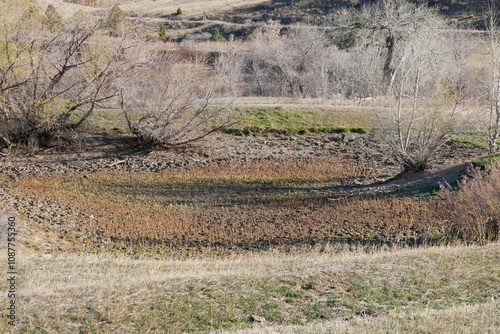 Dried up swamp in prairie trail, Boulder, Colorado photo