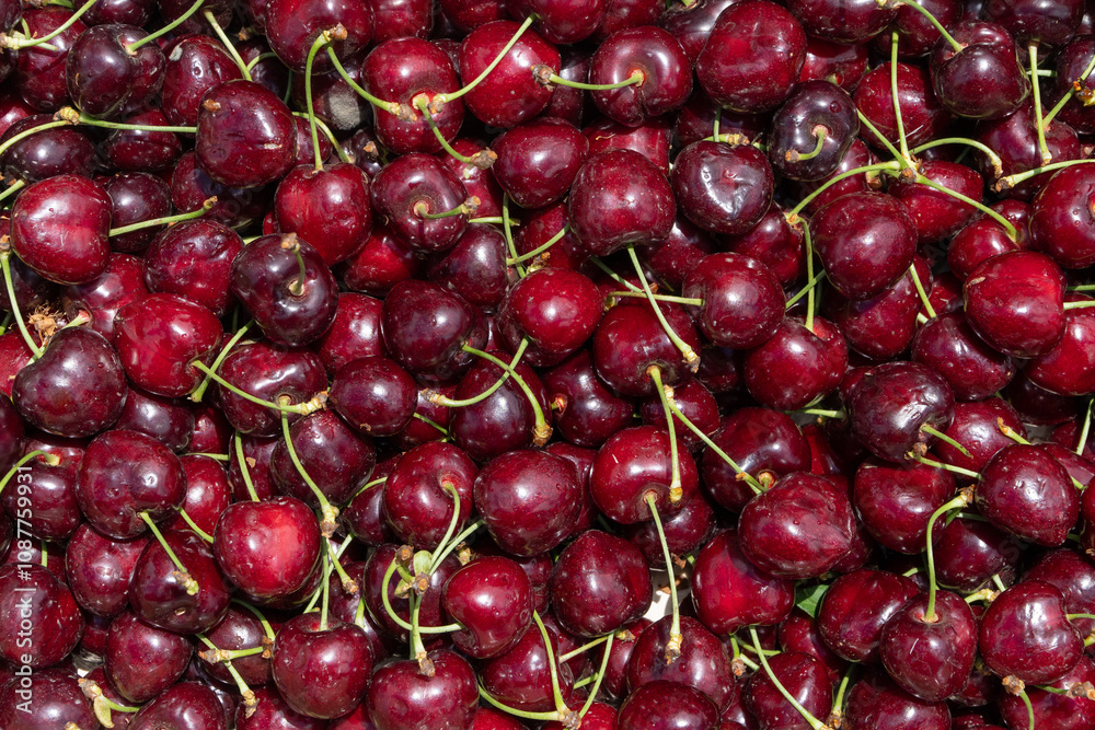 View of many red cherries from the top View of many red cherries from the top