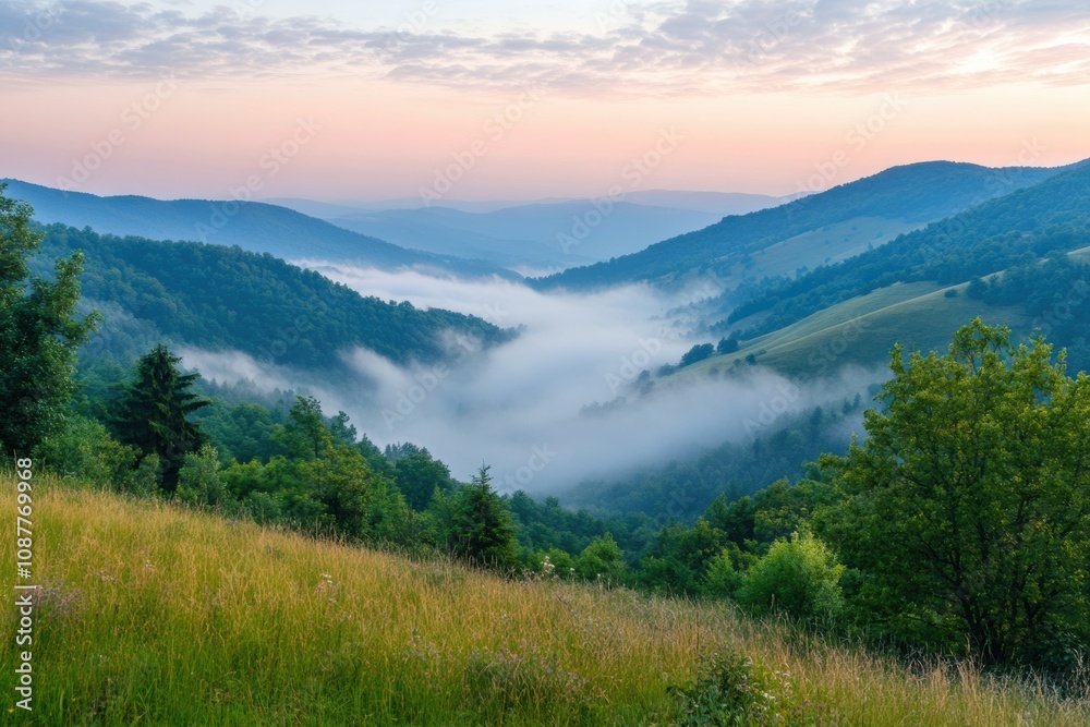 The sun rises gently, casting warm hues over a misty valley surrounded by lush, green hills and dense forests in the morning. Generative AI The sun rises gently, casting warm hues over a misty valley surrounded by lush, green hills and dense forests in the morning. Generative AI