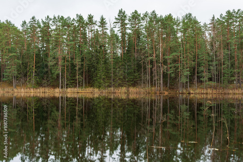 A serene view of a calm lake reflecting a dense forest of evergreen trees under a cloudy sky, showcasing the natural beauty of the outdoors in late autumn