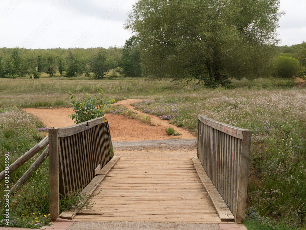 rustic bridge in the countryside rustic bridge in the countryside