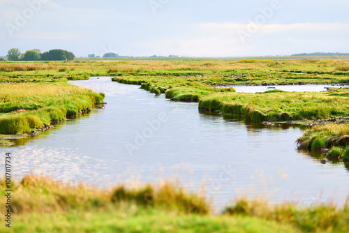 Bilde på lerret Landscape in Netherlands View of green meadow and field with water canals Nature