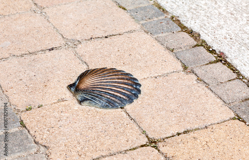 A bronze shell embedded in a textured stone pathway at a historic pilgrimage site photo