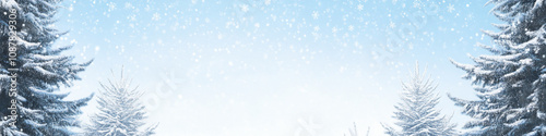 Horizontal banner snowy pine tree branches and clear sky with copy space for text