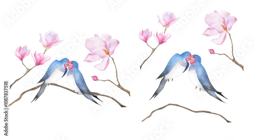 Watercolor kissing swallows couple on branch with pink magnolia flowers Floral illustration with two birds in love for Valentine's day 2025 decoration, baby design, romantic poster, greeting card photo