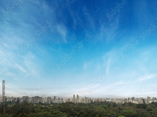 Vista aérea do Parque Ibirapuera em São Paulo, e o skyline da cidade ao fundo. Cenário urbano com áreas verdes, céu azul.