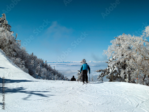 Skiers descending a narrow, steep slope through a snow covered forest photo