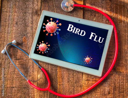 bird flu