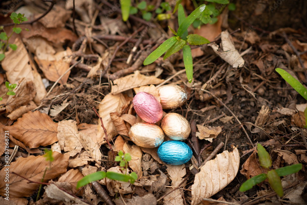 Easter eggs in the forest. Easter egg hunt, popular activity for kids Easter eggs in the forest. Easter egg hunt, popular activity for kids