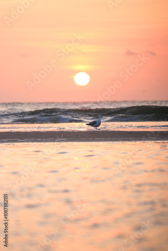 Sonnenuntergang am Strand von Nordholland im Sommer. 