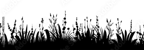 Wild flowers. Image of black silhouette isolated on white background. Vector composition seamless. Rural summer grass and wild flowers. Thickets for pasture or haymaking.