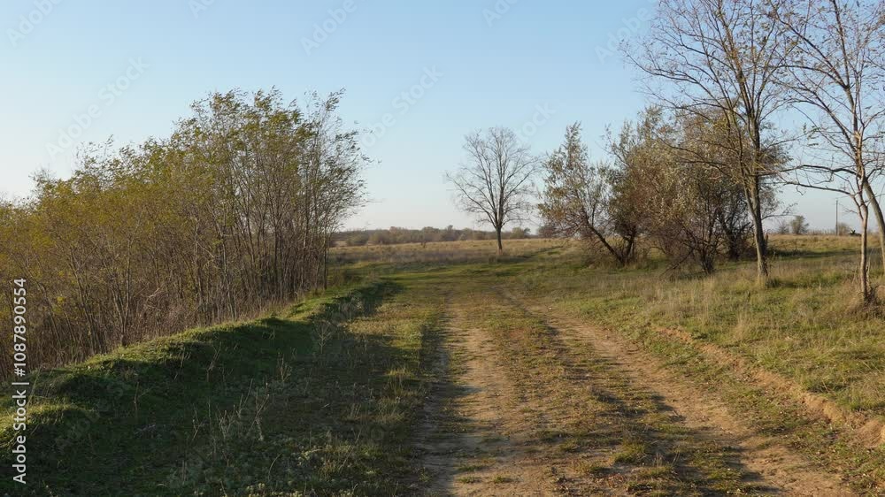 Windy rural path lined with swaying trees and grass, leading towards an open field under a clear blue sky. Early autumn atmosphere with a peaceful countryside setting. Windy rural path lined with swaying trees and grass, leading towards an open field under a clear blue sky. Early autumn atmosphere with a peaceful countryside setting.