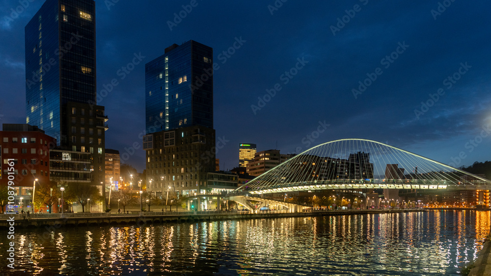 Obraz premium city harbour bridge at night