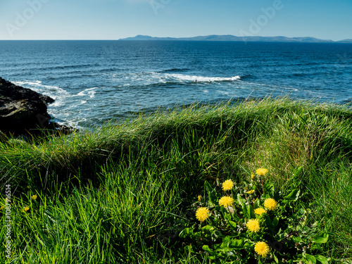 Green grass grows on cliff and amazing waves and sandy Bundoran beach in Ireland on warm sunny day. Popular tourist and surfers area. Blue cloudy sky. Irish landscape. Rich saturated color. photo