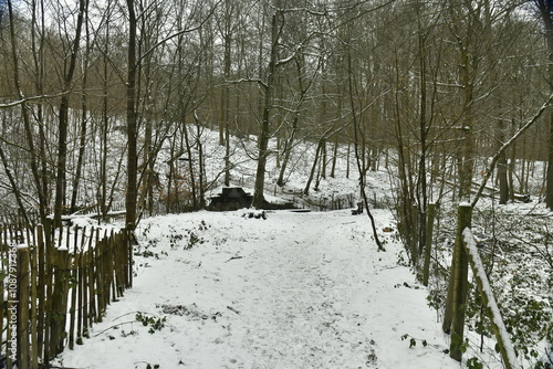 Chemin sous la neige en pleine forêt de Soignes à Auderghem  photo