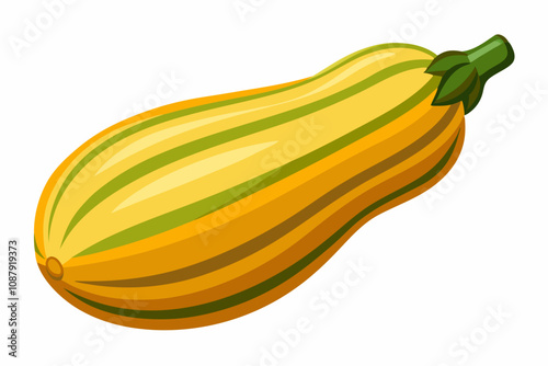 Delicious squash isolated in pure white background vector illustration