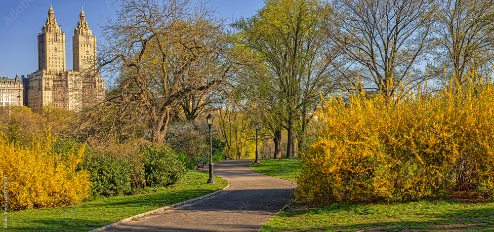 Central Park in spring, early morning Central Park in spring, early morning