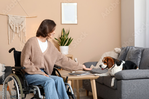Young woman in wheelchair i...