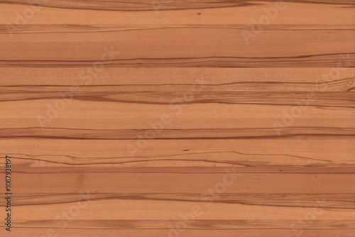 european beech tree wood timber texture grain pattern background