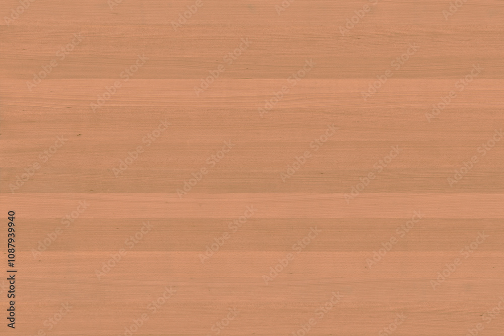Fototapeta premium european beech tree wood timber texture grain pattern background