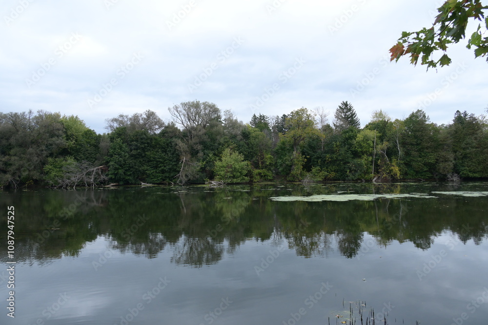 Obraz premium reflection of green trees in water,