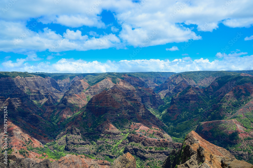 Fototapeta premium Beautiful Waimea Canyon