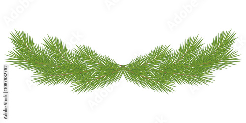 Symmetrical green pine branches. Holiday fir tree garland isolated on a white background. Evergreen sprigs illustration. Winter New Year and Christmas decoration for holiday design.