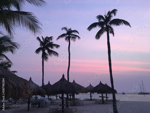 Palm  Trees at Sunset