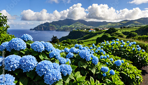 Paysage enchanteur des Açores