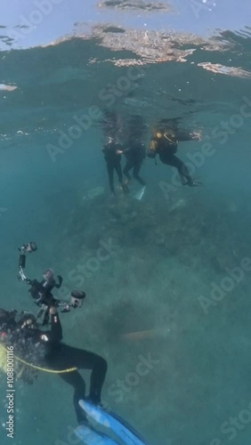 Wallpaper Mural Diving Into the Deep: Capturing Underwater Wonders as a Team Torontodigital.ca