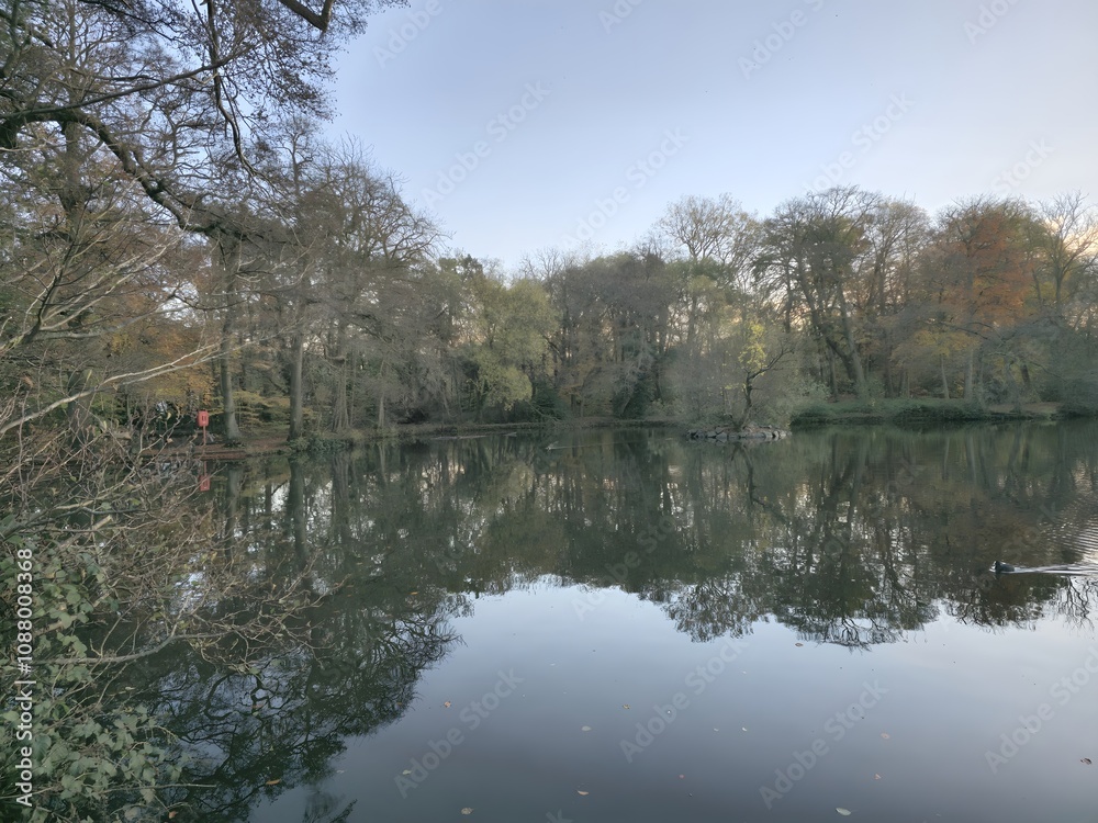 A large body of water surrounded by trees A large body of water surrounded by trees