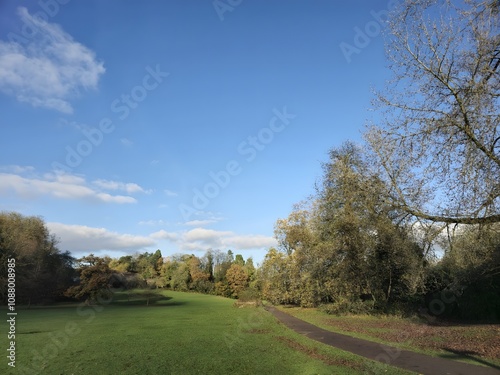 A grassy field with a path running through it