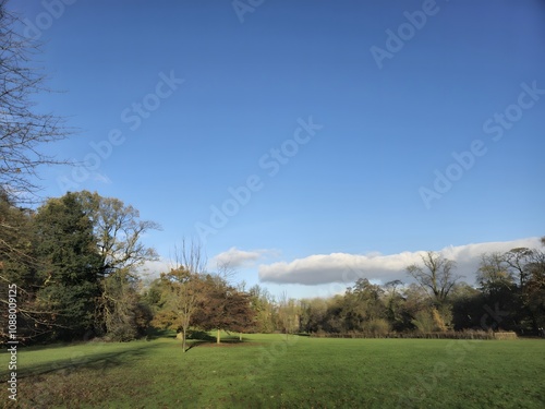 A grassy field with trees in the background