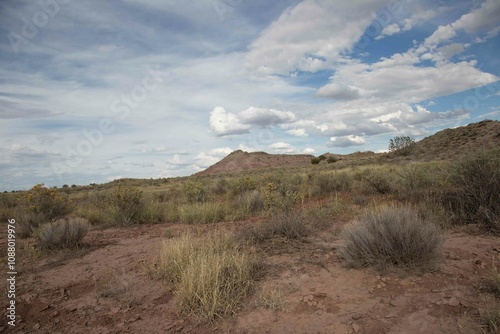 desert view