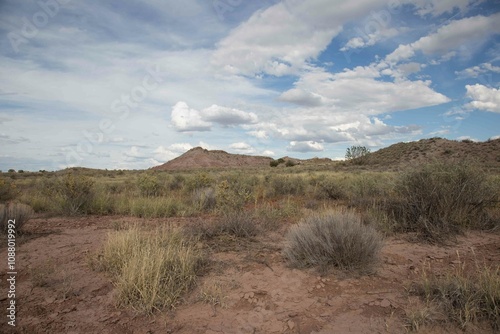 desert view