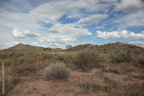 desert view