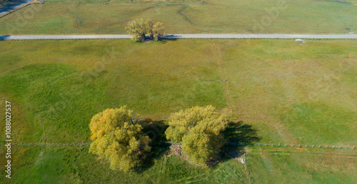 Wallpaper Mural Trees in a field, three trees, green, pasture, country, road Torontodigital.ca