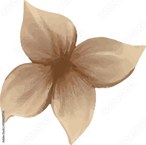 colorful illustration of flower petals and leaf clip art for background, wallpaper, card design