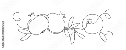 Pomegranate fruit with leaves, garnet drawn with continuous line in minimalism, tropical fruits, editable vector contour