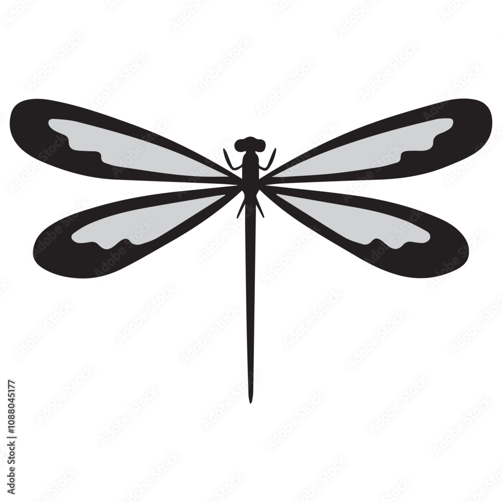 dragonfly on white background, dragonfly illustration dragonfly on white background, dragonfly illustration