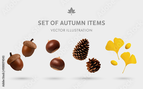 A Set of Autumn Forest Decorations 3D Vector Items: Acorn, Chestnut, Pinecone, Ginkgo Biloba