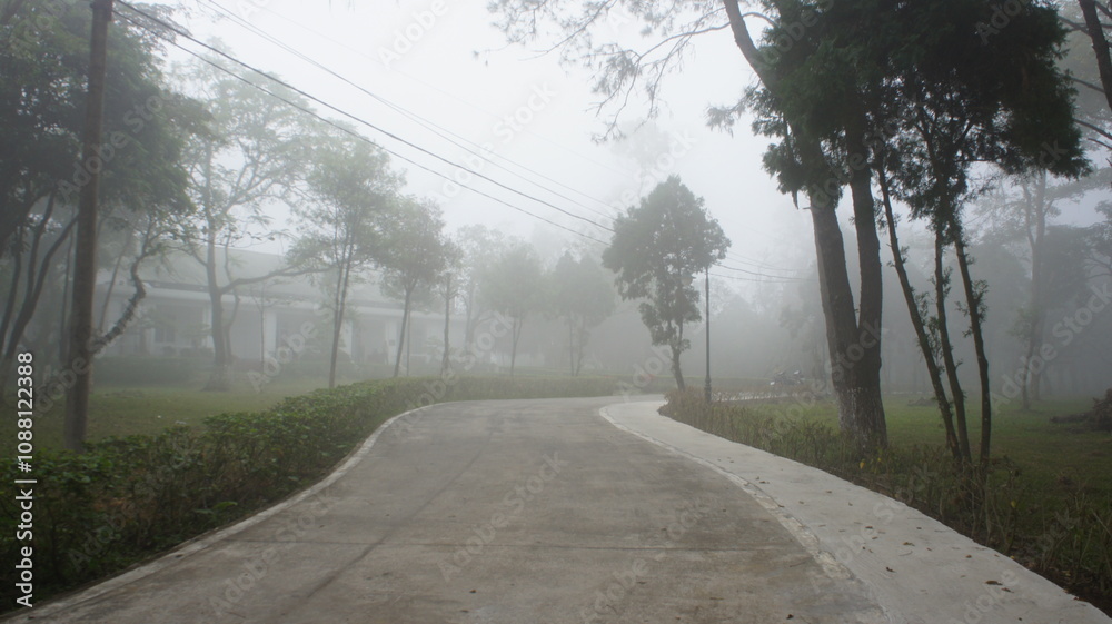 Misty Morning Path Winding Through a Foggy Landscape Misty Morning Path Winding Through a Foggy Landscape