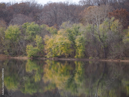 fall foliage along the Potomac river