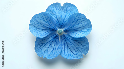 Blue Flower Macro Illustration