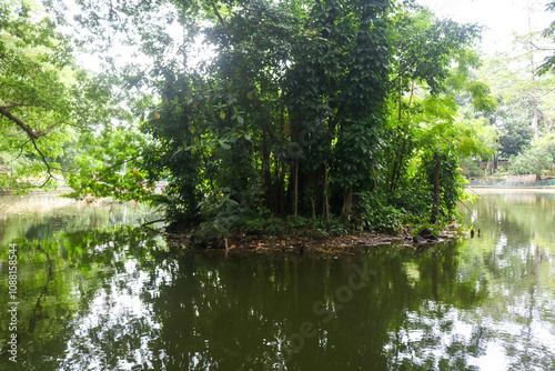 UGM wisdom park lake with lush trees in the middle.