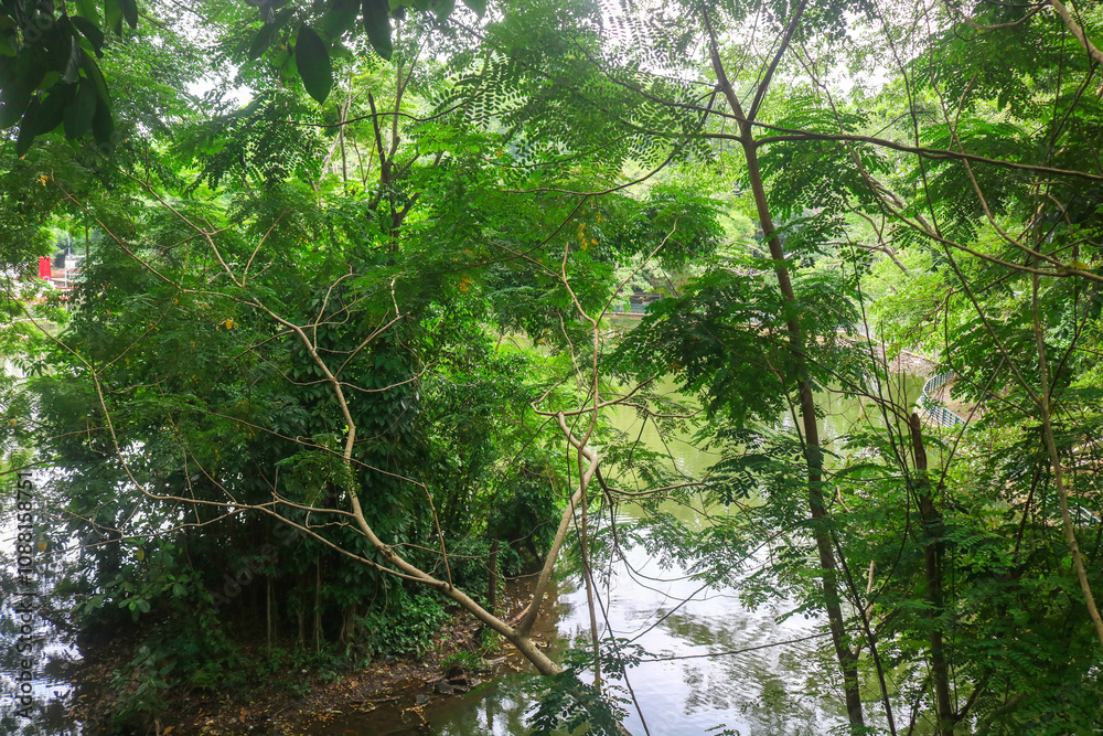 Obraz premium UGM wisdom park lake with lush trees in the middle.