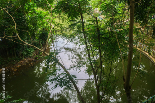 UGM wisdom park lake with lush trees in the middle. photo