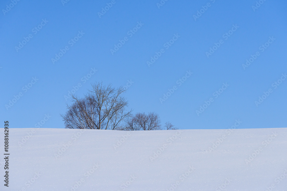 Obraz premium 北海道 冬の美瑛の雪景色